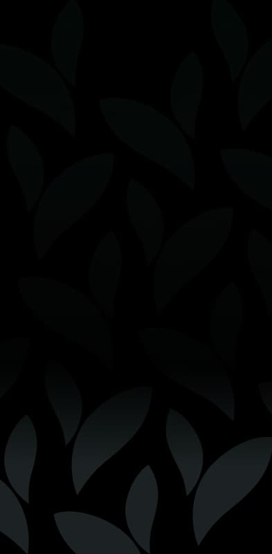 image feeds